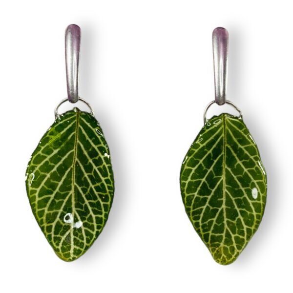 Aretes de Hoja de Fittonia - Imagen 2