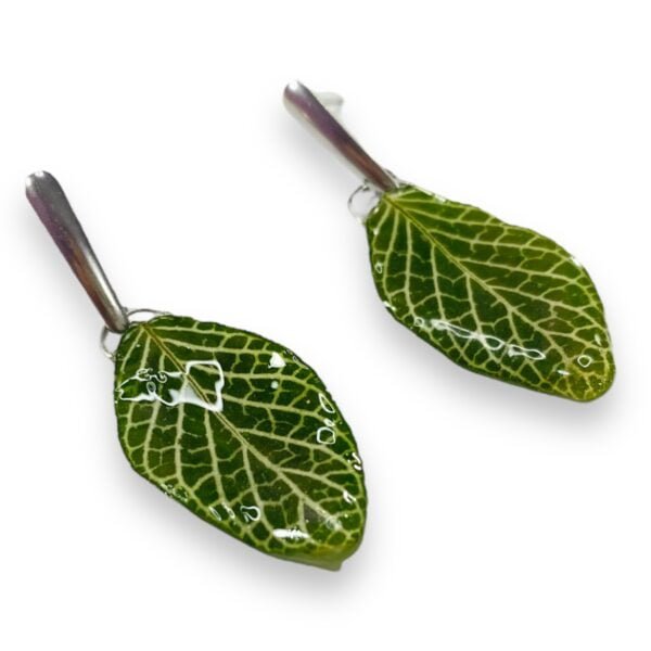 Aretes de Hoja de Fittonia - Imagen 3