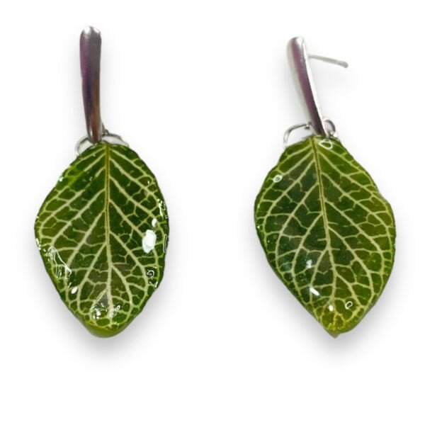 Aretes de Hoja de Fittonia - Imagen 4