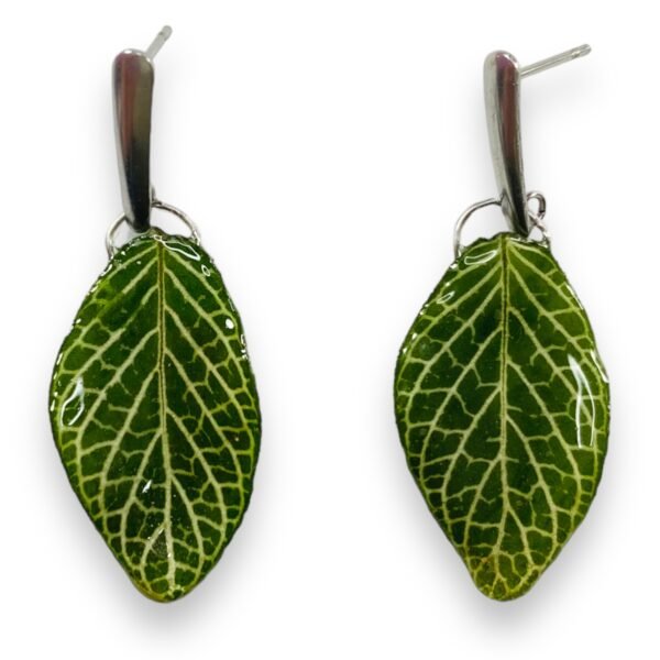 Aretes de Hoja de Fittonia - Imagen 5