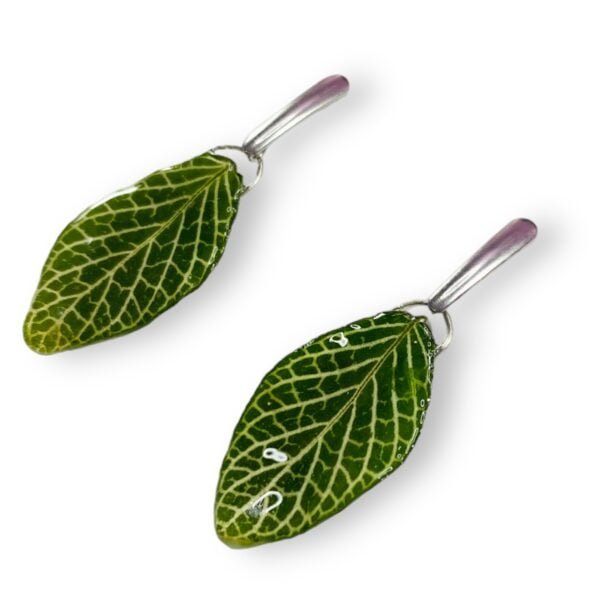 Aretes de Hoja de Fittonia - Imagen 6