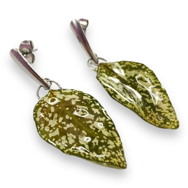 Aretes de Hoja de Hypoestes Punto Blanco - Imagen 3