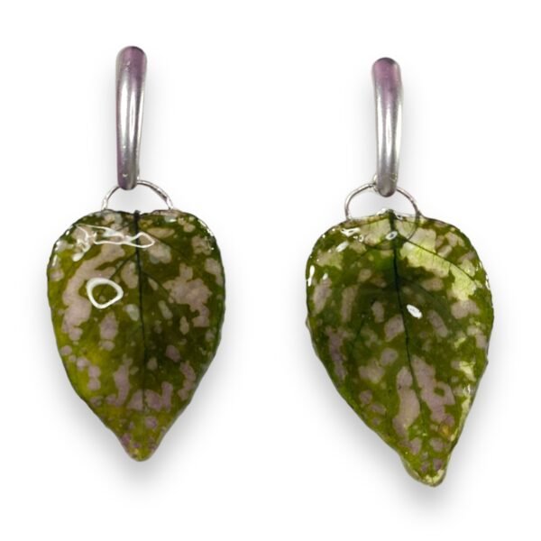 Aretes de Hoja de Hypoestes Punto Rosa - Imagen 5