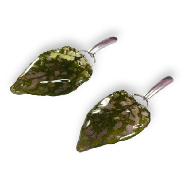 Aretes de Hoja de Hypoestes Punto Rosa - Imagen 4