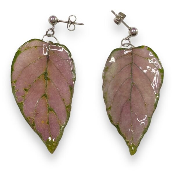 Aretes de Hoja de Hypoestes Rosa - Imagen 3