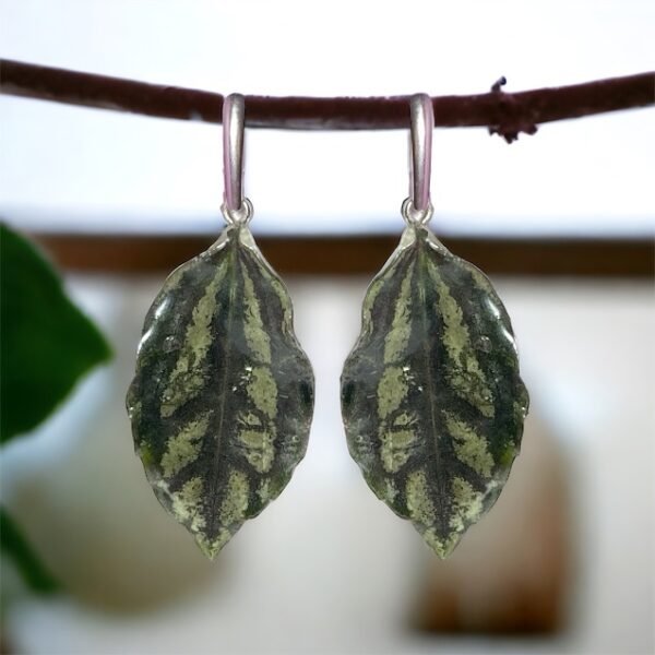 Aretes de Hoja de Cadierei