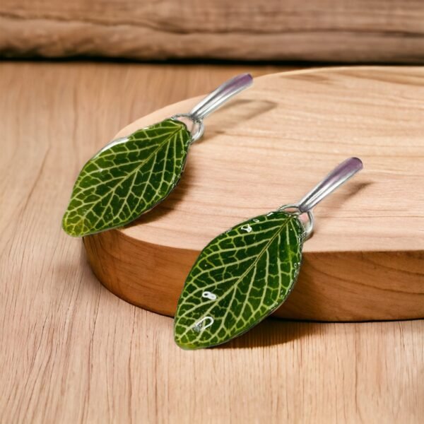 Aretes de Hoja de Fittonia