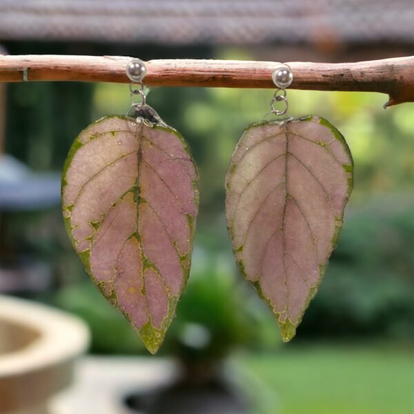 Aretes de Hoja de Hypoestes Rosa